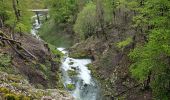 Excursión Senderismo Foncine-le-Bas - Autour de la cascade du Bief de la Ruine 🥾 - Photo 1