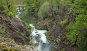 Tocht Stappen Foncine-le-Bas - Autour de la cascade du Bief de la Ruine 🥾 - Photo 1