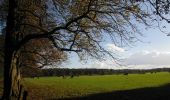 Tocht Te voet Onbekend - [A17] Annaberger Hof Rundwanderweg - Photo 3