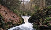 Tocht Stappen Jalhay - pont de belle heid la vallée de la hoegne - Photo 3