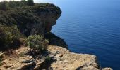 Randonnée Marche Cassis - Pas de la Colle - Falaises Soubeyranes - Sémaphore du Bec de l'Aigle - Anse de Figuerolles - Parc Mugel - La Ciotat - Photo 17