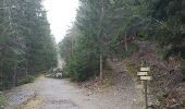 Trail Walking Chamonix-Mont-Blanc - aller/retour La Floria Chamonix  - Photo 3