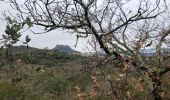 Excursión Senderismo Roquebrune-sur-Argens - La haute Cavalière - Photo 1