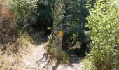 Excursión Senderismo Plan-de-Baix - Canyon des Gueulards - Plateau du Vellan  - Photo 13