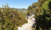 Tocht Stappen Estoublon - gorges de Trévans 6 septembre 2020 - Photo 5