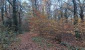 Tour Wandern Seraing - la vecquée par les chemins de traverse - Photo 13