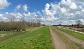 Trail Walking Dendermonde - Dendermonde Moerzeke 19,5 km - Photo 12