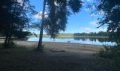 Randonnée Marche Montsauche-les-Settons - Tour du lac des Settons.  - Photo 10