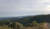 Excursión Marcha nórdica Le Bosc - Le Bosc Grandmont - Photo 8