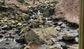 Randonnée Marche Spa - Source de la geronster  - Photo 6