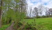 Trail Walking Theux - la reid . vert buisson . charmille / variante  - Photo 17