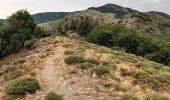 Tocht Stappen Val-d'Aigoual - Cascade d'Orgon-15-06-22 - Photo 3