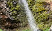 Excursión Senderismo Le Falgoux - Cascade du Biagun - Photo 3