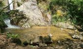 Percorso Marcia Queuille - 2025-05-01 Reco-La sioule - Photo 15