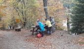 Trail Walking Linthal - 2019.10.15.Lauch - Photo 1