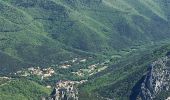 Tour Wandern Salvezines - Le Caunil. Maison forestière par Puylaurens  - Photo 1