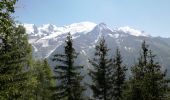 Trail Walking Les Houches - AIGUILLETTE DES HOUCHES - Photo 1