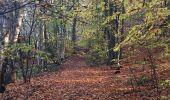 Randonnée Marche Chaudfontaine - Beaufays mare aux chevreuils  - Photo 2