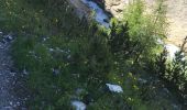 Trail Walking Val-d'Isère - Les cascades des salins au départ de val d’Isère  - Photo 12