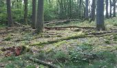 Tocht Stappen Houffalize - tour du lac des 2 ourthes - barrage de Nisramont  - Photo 19