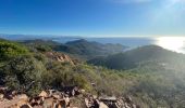 Trail On foot Saint-Raphaël - Esterel - Grues depuis Lentisque - Photo 3