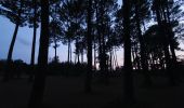 Randonnée V.T.C. Sanguinet - Sanguinet-Le lac à la tombée de la nuit - Photo 15