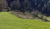 Tour Wandern Manhay - Bras (express) - Photo 5