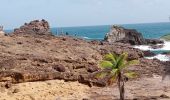 Percorso Marcia La Trinité - Presqu'île de la Caravelle 🌡️ - Photo 8