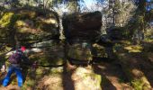 Randonnée Marche Sainte-Marie-aux-Mines - la croix de Ribeauvillé  - Photo 14