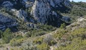 Excursión Senderismo Mouriès - Les Castellas des Baux - Photo 5