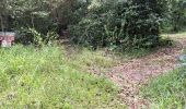 Tour Wandern Rivière-Salée - Rivière Salée - Les Trois-Ilets - Le Défi 2025 - Photo 20