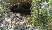 Trail Walking Bédoin - Bedoin  - Photo 1