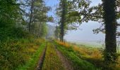 Trail Walking Philippeville - Balade de Roly à Villers-en-Fagne - Photo 10