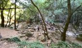 Excursión Senderismo Bagnols-en-Forêt - Crête Diaou et gorges du Blavet - Photo 11