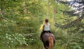 Tour Reiten Urbeis - Orbey- Sainte Marie aux mines - Photo 5