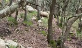 Randonnée Marche Escorca - GR221 # Refuge Tossals Verds - Coll des Prat - Lluc - Photo 3