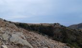 Trail Walking Banyuls-sur-Mer - 22 08 / 8-9-10 Oli40 - épisode 1 - Photo 5