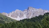 Excursión Senderismo Les Allues - refuge du saut par le bois de la ramée - Photo 1