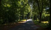 Tour Zu Fuß Unbekannt - Stadtwanderweg 3 - Hameau - Photo 4