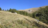 Trail Walking Belvédère - boucle cime Valette par vallon >St Grat - Photo 6