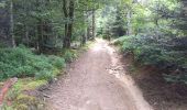 Trail Walking Lavoine - Les sources de la Besbre - Photo 5