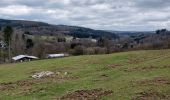 Tour Wandern Libin - Redû 160421 - Photo 1
