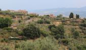 Percorso A piedi Volterra - Dolce campagna, antiche mura 24 - Photo 3