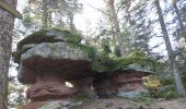 Randonnée Marche Sainte-Marie-aux-Mines - la croix de Ribeauvillé  - Photo 9