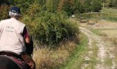 Trail Horseback riding Charmois - rando des vergers 2020  - Photo 1