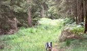 Trail Walking Libramont-Chevigny - Séviscourt - Photo 16