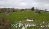 Tocht Stappen Prinsuéjols-Malbouzon - prinsueljols-aubrac etape st Jacques  - Photo 2