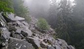 Tour Wandern Urbeis - Les deux lacs - Photo 4