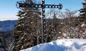 Tocht Sneeuwschoenen Autrans-Méaudre en Vercors - gros martel - Photo 1