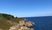 Excursión Senderismo Bangor - Belle île en mer  - Photo 6